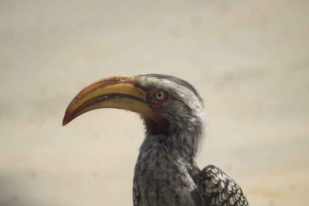 任意整理済みでも過払い金請求は可能ですか？