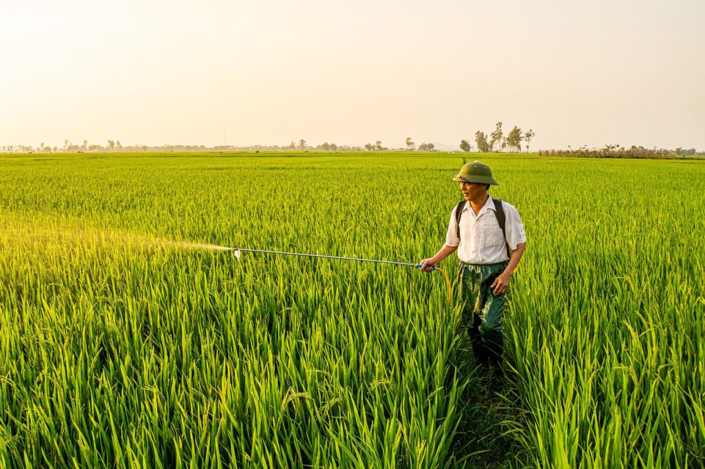 過払い金の専門家選びで失敗しないためのポイントは？