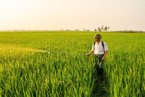 過払い金の専門家選びで失敗しないためのポイントは？